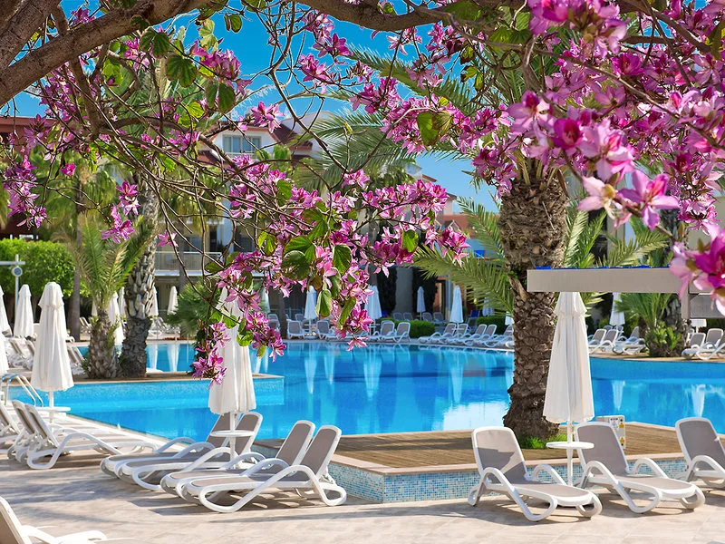 Barut B Suites — Foto 8