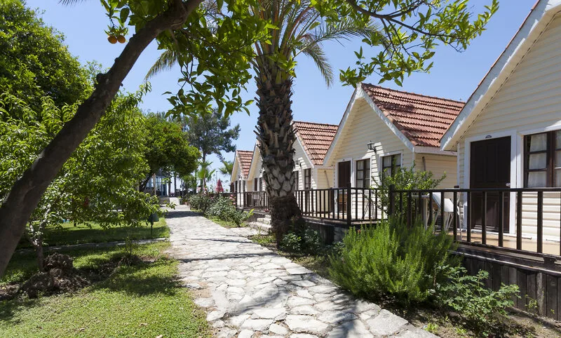 Clover Magic Nova Beach — Foto 6