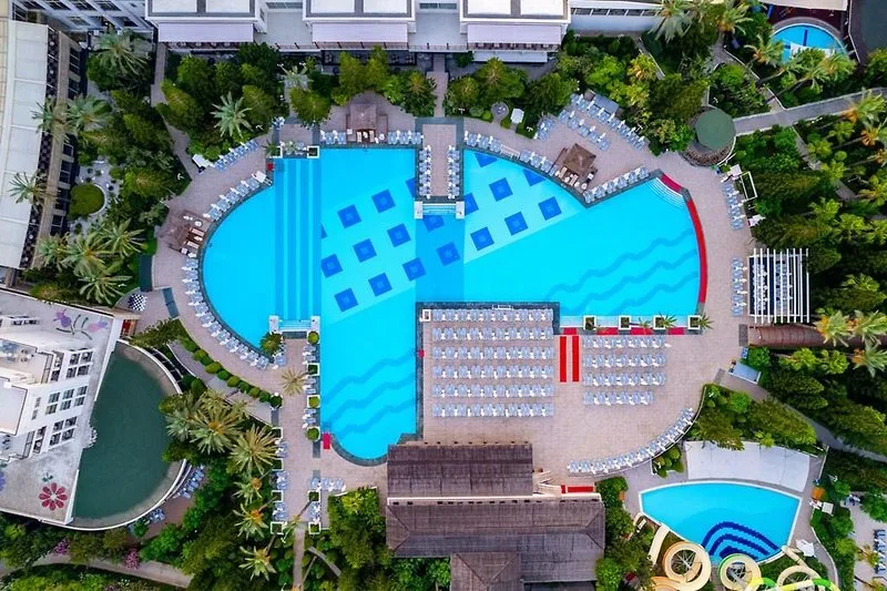 Delphin Diva — Foto 7