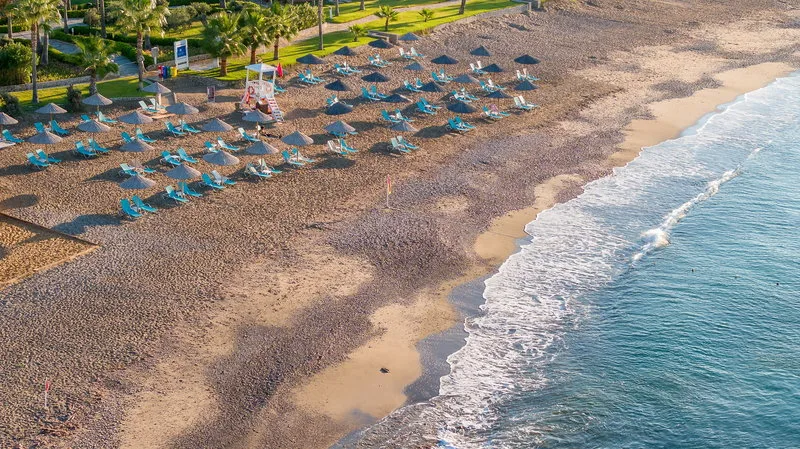 Flora Garden Beach Hotel (+16) — Foto 3