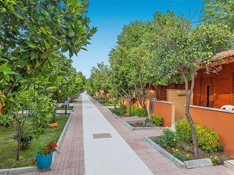 Ozlem Garden — Foto 10