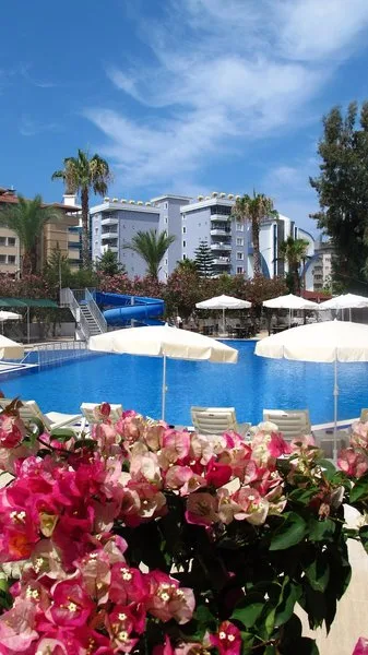Simply Fine Hotel Alize — Foto 2