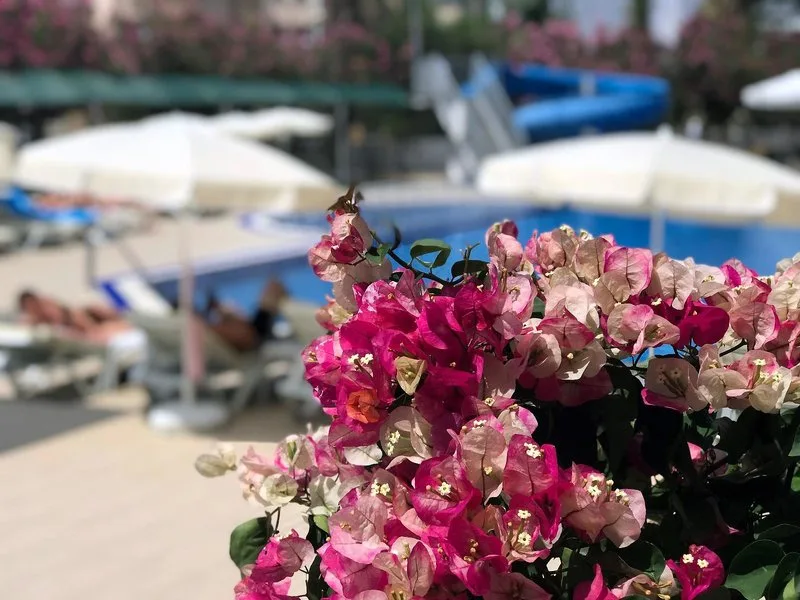 Simply Fine Hotel Alize — Foto 3