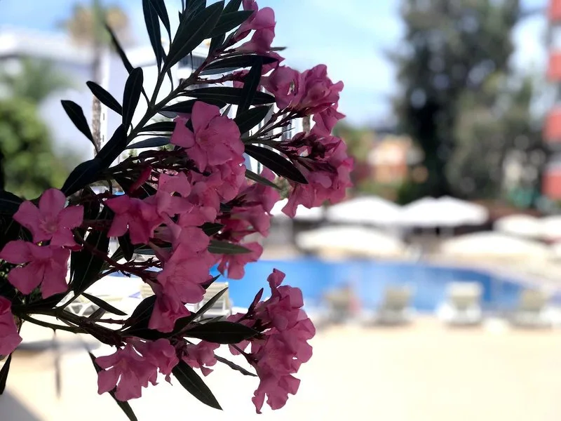 Simply Fine Hotel Alize — Foto 5